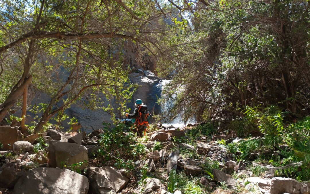 Verano en Farellones: Una Experiencia en Sí Misma